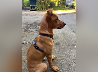 Hazel freut sich auf Deinen Besuch