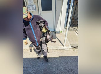 Senior wartet schon so lange SOS dringend