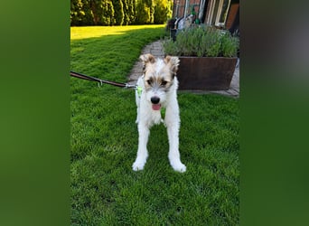 Süße Kiki freut sich auf Deinen Besuch