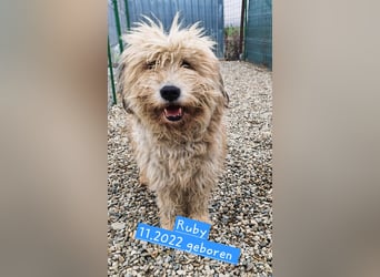 Ruby hofft auf ihre Chance