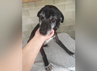 Senior wartet schon so lange SOS dringend