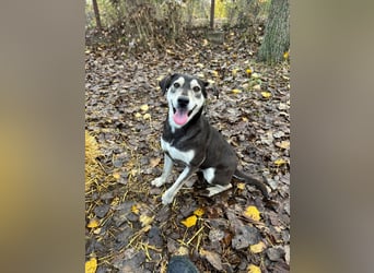 So liebe Maus sucht ihr Glück