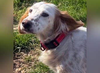 Bezaubernde Marilia sucht ihr Glück