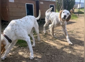 Bezaubernde Marilia sucht ihr Glück