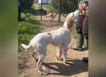 Bezaubernde Marilia sucht ihr Glück