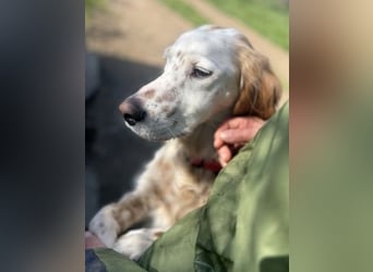 Bezaubernde Marilia sucht ihr Glück