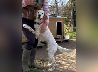 Bezaubernde Marilia sucht ihr Glück