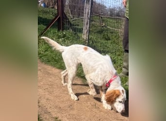 Bezaubernde Marilia sucht ihr Glück