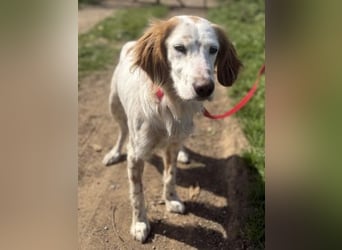 Bezaubernde Marilia sucht ihr Glück