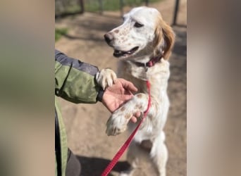 Bezaubernde Marilia sucht ihr Glück