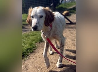 Bezaubernde Marilia sucht ihr Glück