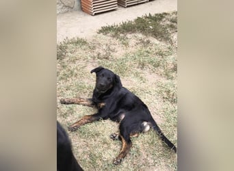 Fröhliche Matilda