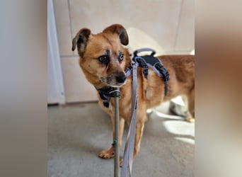 Lilo sucht Geborgenheit