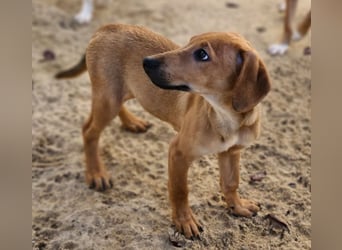 Roberto - RESERVIERT