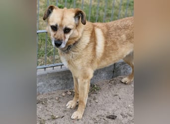 Lilo sucht Geborgenheit