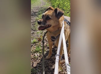 Lilo sucht Geborgenheit
