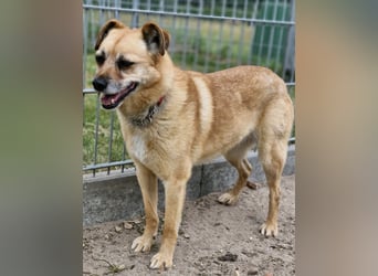 Lilo sucht Geborgenheit