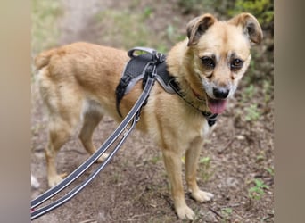 Lilo sucht Geborgenheit
