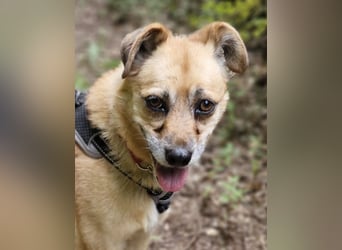 Lilo sucht Geborgenheit
