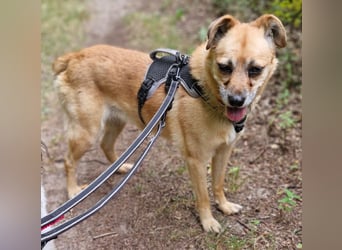Lilo sucht Geborgenheit