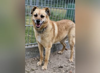 Lilo sucht Geborgenheit