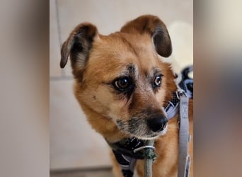 Lilo sucht Geborgenheit