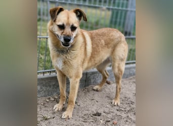 Lilo sucht Geborgenheit