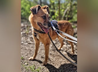Lilo sucht Geborgenheit