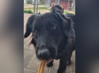 Nika fasst immer mehr Mut