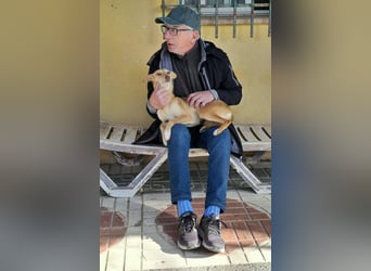 ODA (auf Pflege in 79361 Sasbach-Jechtingen)