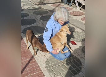 ODA (auf Pflege in 79361 Sasbach-Jechtingen)