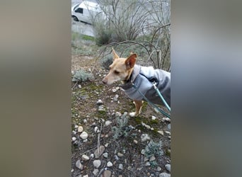 ODA (auf Pflege in 79361 Sasbach-Jechtingen)