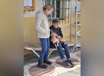 ODA (auf Pflege in 79361 Sasbach-Jechtingen)