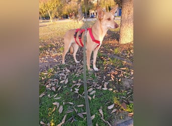 ODA (auf Pflege in 79361 Sasbach-Jechtingen)