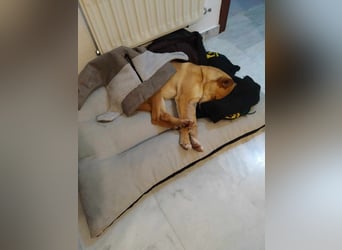 ODA (auf Pflege in 79361 Sasbach-Jechtingen)