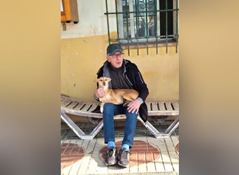 ODA (auf Pflege in 79361 Sasbach-Jechtingen)