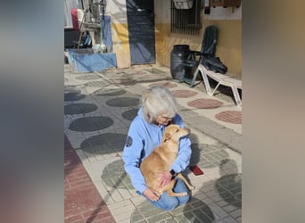 ODA (auf Pflege in 79361 Sasbach-Jechtingen)