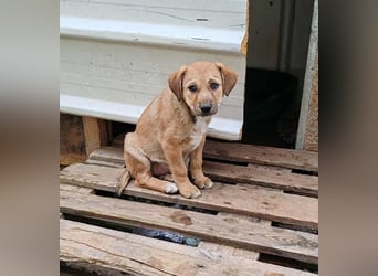 ELORA - Traumzuhause gesucht