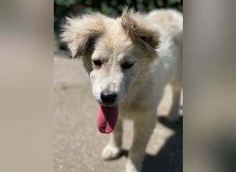 BETTY - wo findet sie ihr Glück?