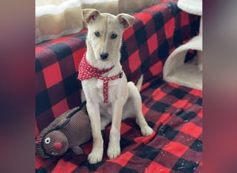 MELISSA - Zuhause gesucht