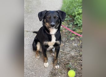 DORIS - Traumzuhause gesucht