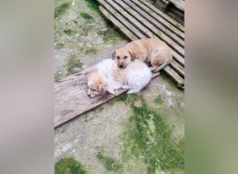 ELORA - Traumzuhause gesucht