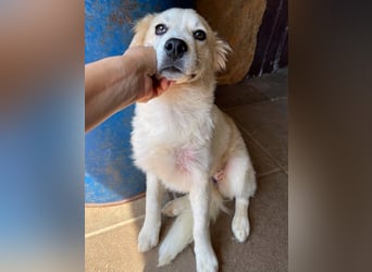 BETTY - wo findet sie ihr Glück? *reserviert*