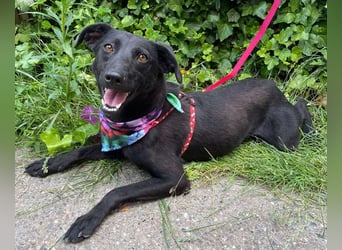 MYLA - schüchternes Mädchen sucht ihre Menschen