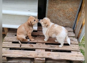 ELORA - Traumzuhause gesucht