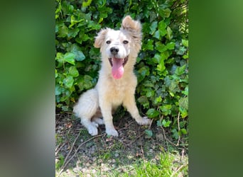 BETTY - wo findet sie ihr Glück?