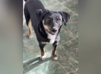 DORIS - Traumzuhause gesucht