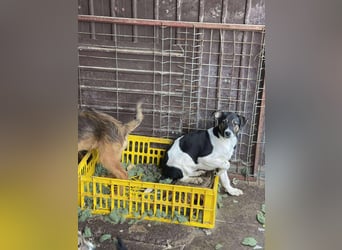 MELODY - Traumzuhause gesucht