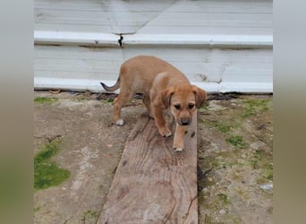 ELORA - Traumzuhause gesucht