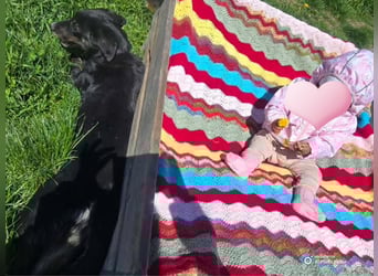 DORIS - Traumzuhause gesucht